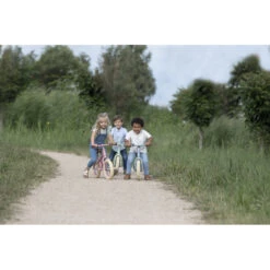 Vélo D'équilibre LITTLE DUTCH Rose Mat 15 Vélo D'équilibre LITTLE DUTCH Rose Mat -Little Dutch ld velo d equilibre 24